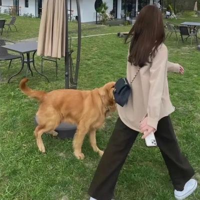 离岛特警粤语